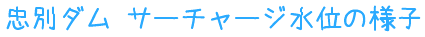 ʃ_@T[`[Wʂ̗lq