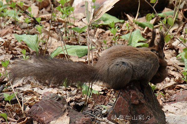 この画像をクリックすると場面転換します。