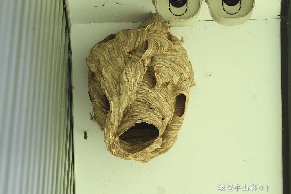 画像クリックで拡大、ふたたびクリックで元に戻ります。